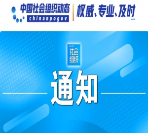 民政部关于开展全国性社会团体、国际性社会团体分支（代表）机构专项整治行动的通知