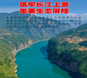 瞭望·治国理政纪事丨筑牢长江上游重要生态屏障