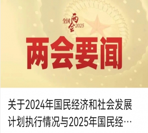 关于2024年中央和地方预算执行情况与2025年中央和地方预算草案的报告（摘要）