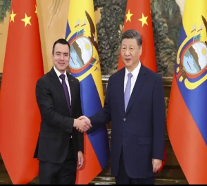 习近平会见厄瓜多尔总统诺沃亚，习近平会见塞内加尔总理松科