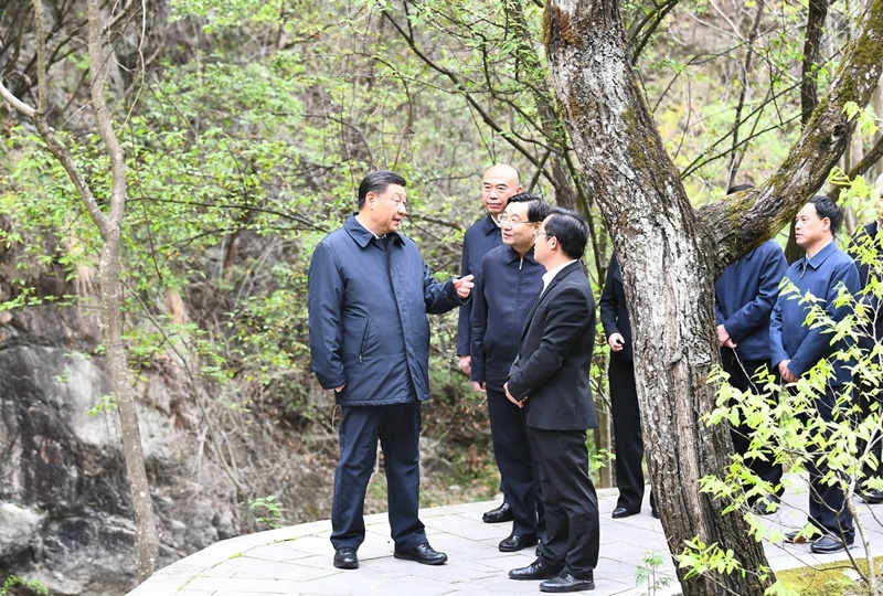 习近平在陕西考察秦岭生态保护情况